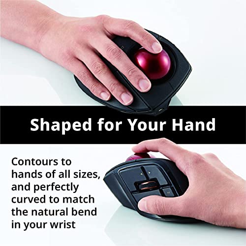 ELECOM Wired/Wireless/Bluetooth Finger-Operated Trackball Mouse for Gamers & Business Professionals
| ELECOM |4GHz Wire